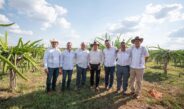 Pitahaya Valley posiciona a Yucatán como referente nacional en producción de pitahaya