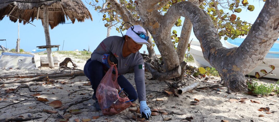 Mercado Circular promueve cultura del reciclaje en Las Coloradas