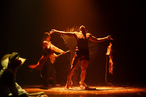 CUERPOS EN TRÁNSITO 2026 EXPANDIRÁ EL LENGUAJE DEL CUERPO ASEGURA LA CRITICA DE DANZA IVONNE MORALES