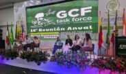 Yucatán impulsa la bioeconomía forestal y el financiamiento climático 