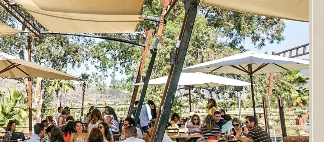 Reafirman al Valle de Guadalupe como orgullo turístico de BC