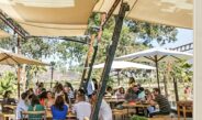 Reafirman al Valle de Guadalupe como orgullo turístico de BC