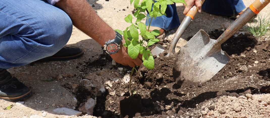Renacimiento Verde promueve reforestación en Tepakán