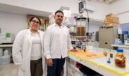 Secihti abre convocatoria de becas para estudiar posgrados en México y el extranjero