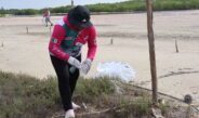 Mercado Circular y limpieza de playa promueven participación ciudadana en Celestún