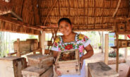Fomentan desarrollo económico de comunidades mayas a través del turismo 