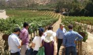 Abre California mayor mercado al vino mexicano